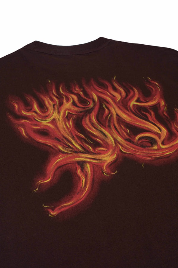Camiseta Plano C - Flames - Brown