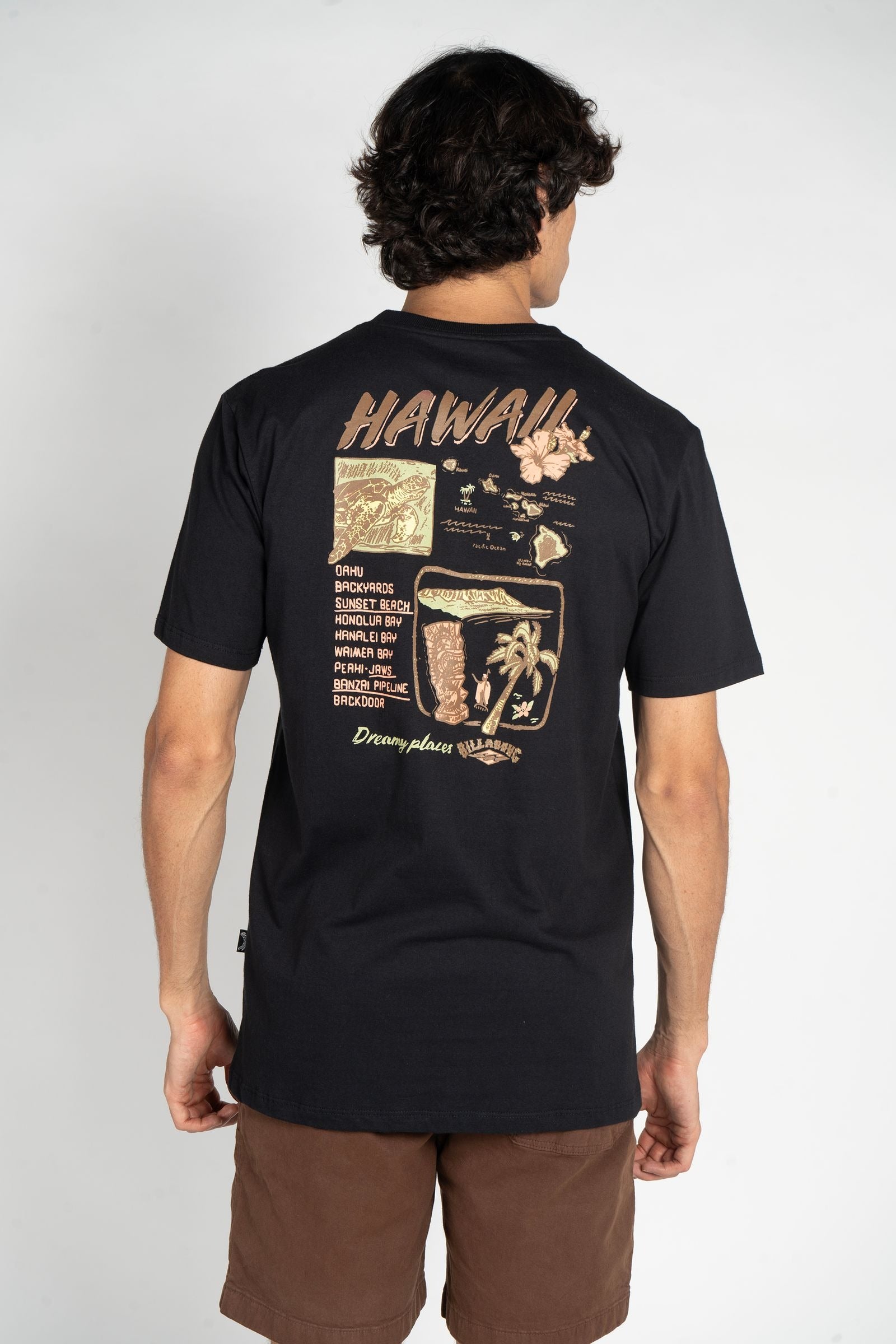 Camiseta Billabong - Dream Places Hawaii - Preto