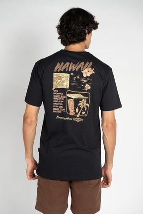 Camiseta Billabong - Dream Places Hawaii - Preto
