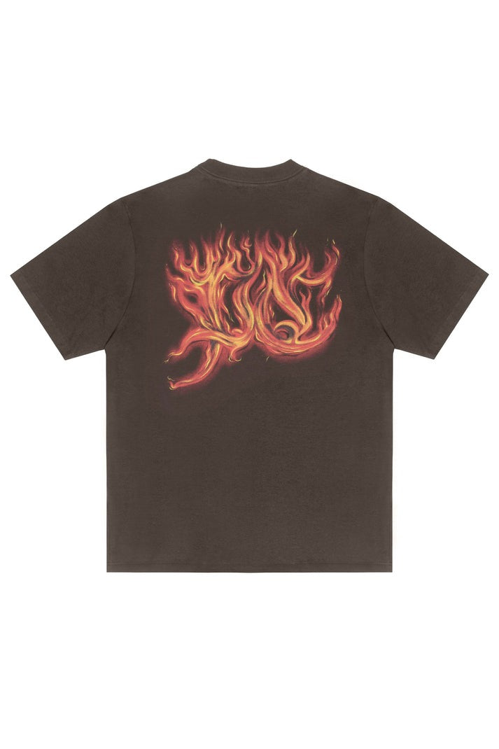 Camiseta Plano C - Flames - Brown